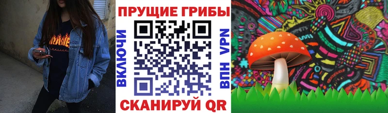 Галлюциногенные грибы мицелий  как найти   Калачинск 
